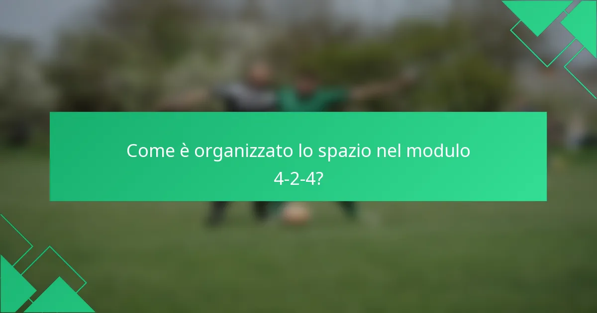 Come è organizzato lo spazio nel modulo 4-2-4?