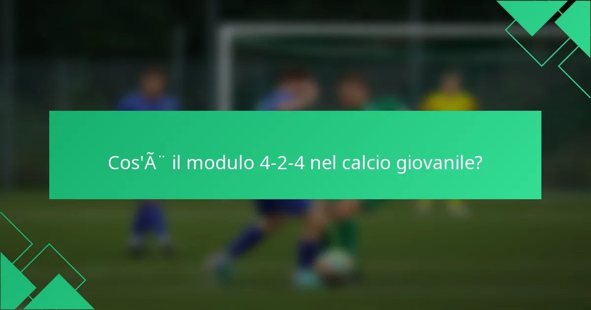 Cos'è il modulo 4-2-4 nel calcio giovanile?